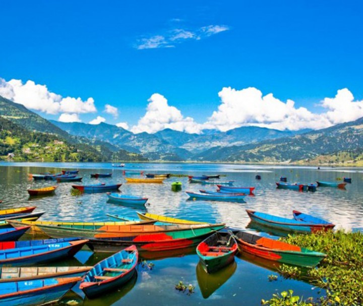 Pokhara Boats