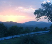 Bandipur National Park